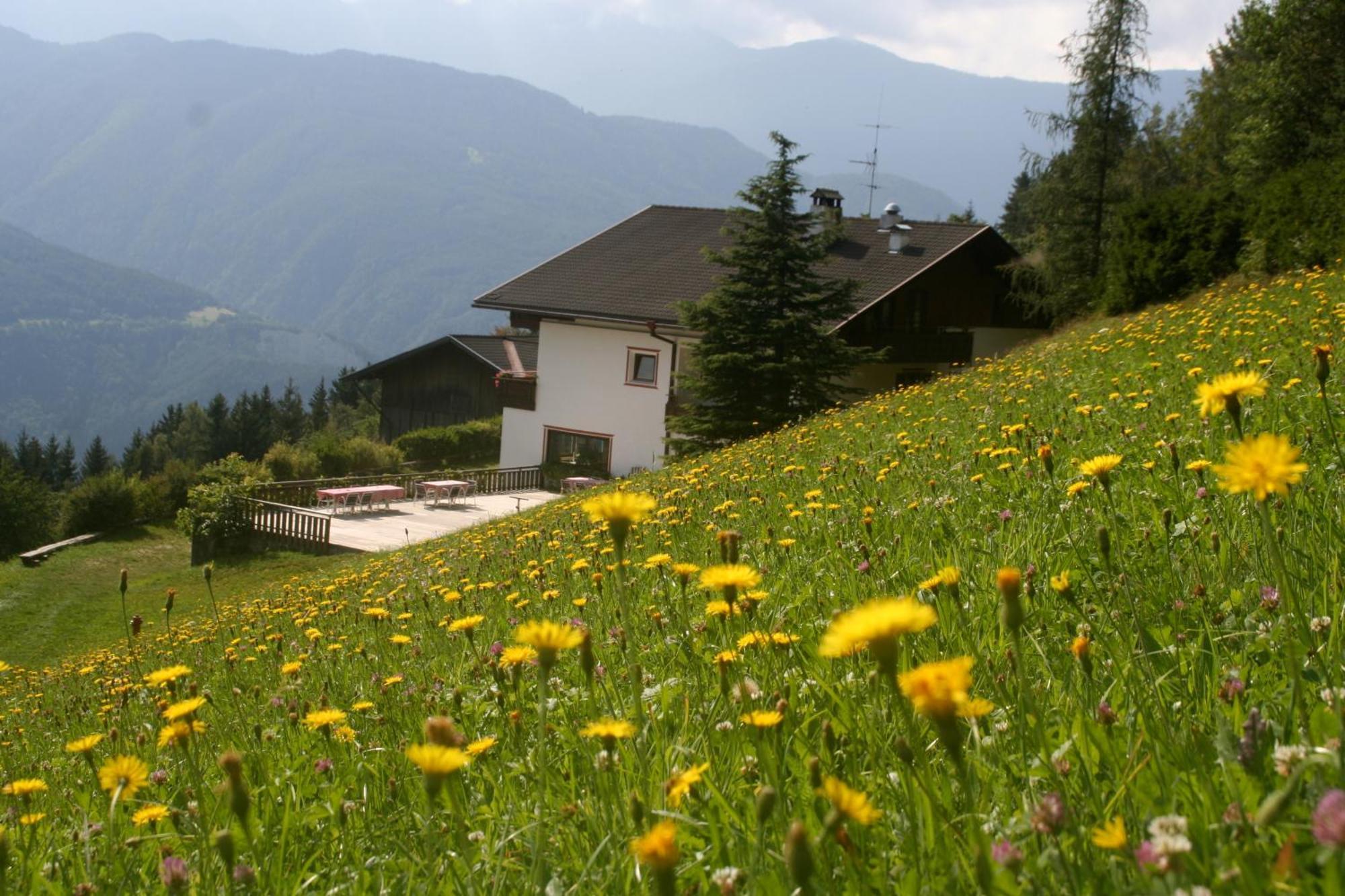 Biogasthaus Plonerhof Bressanone Extérieur photo